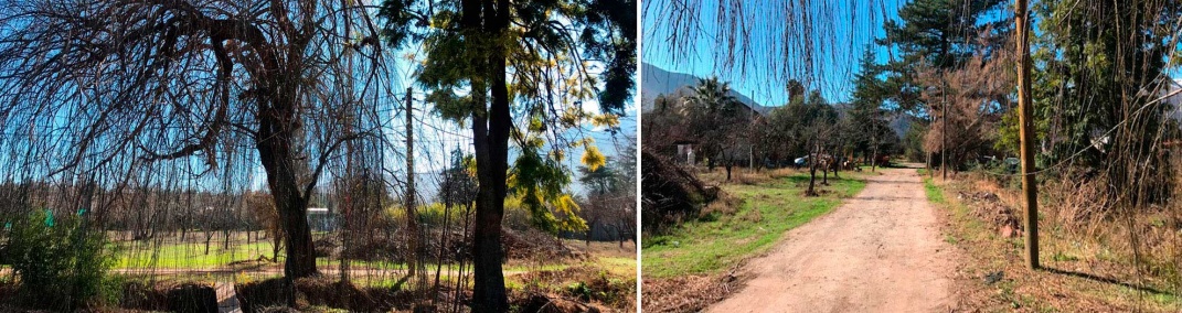 Camino a San José de Maipo, Santiago, 8150000, ,Terreno,En Venta,Camino a San José de Maipo,1009